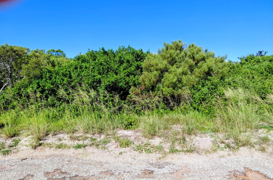 0 Bedroom Property for Sale in Paradise Beach Eastern Cape